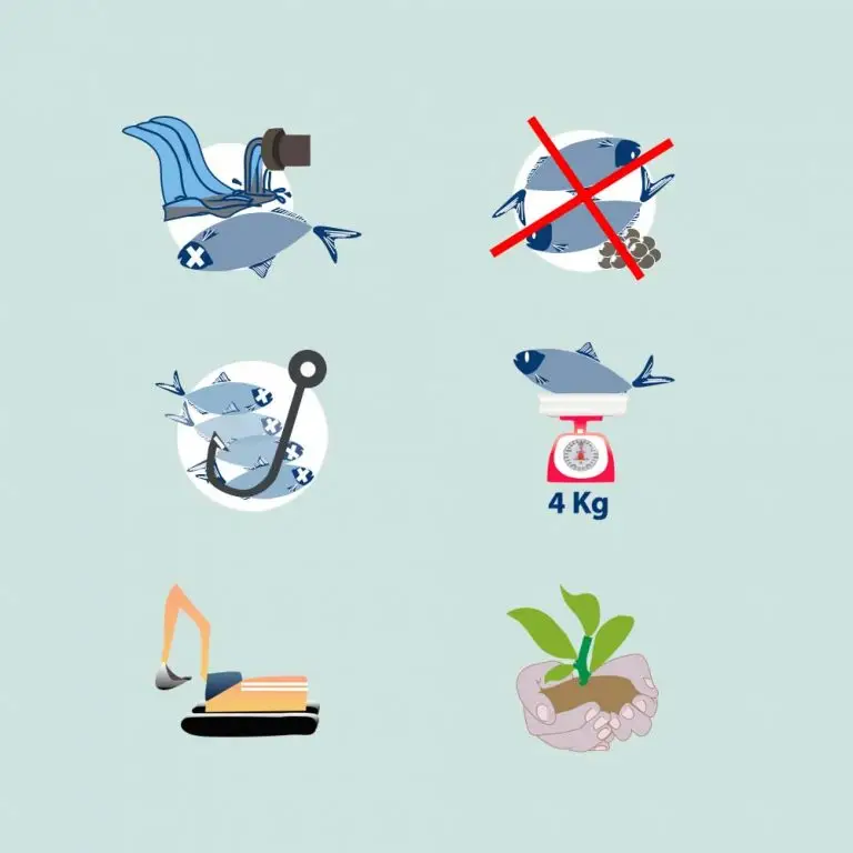 iconografia